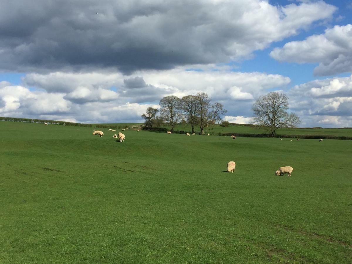 Vila Weatherhead Farm Shepherds Hut Buckingham Exteriér fotografie